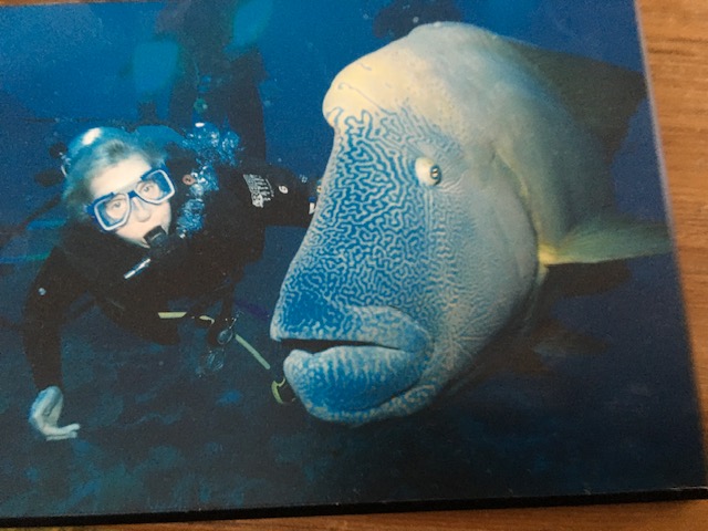 Margaret Anne Cutler scuba diving alongside a large Napoleon wrasse, reflecting her adventurous spirit and lifelong love of exploration — including diving at the Great Barrier Reef and setting foot on all 7 continents
